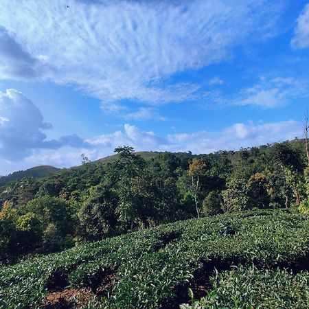 The Vagabond Stays Vagamon Luaran gambar