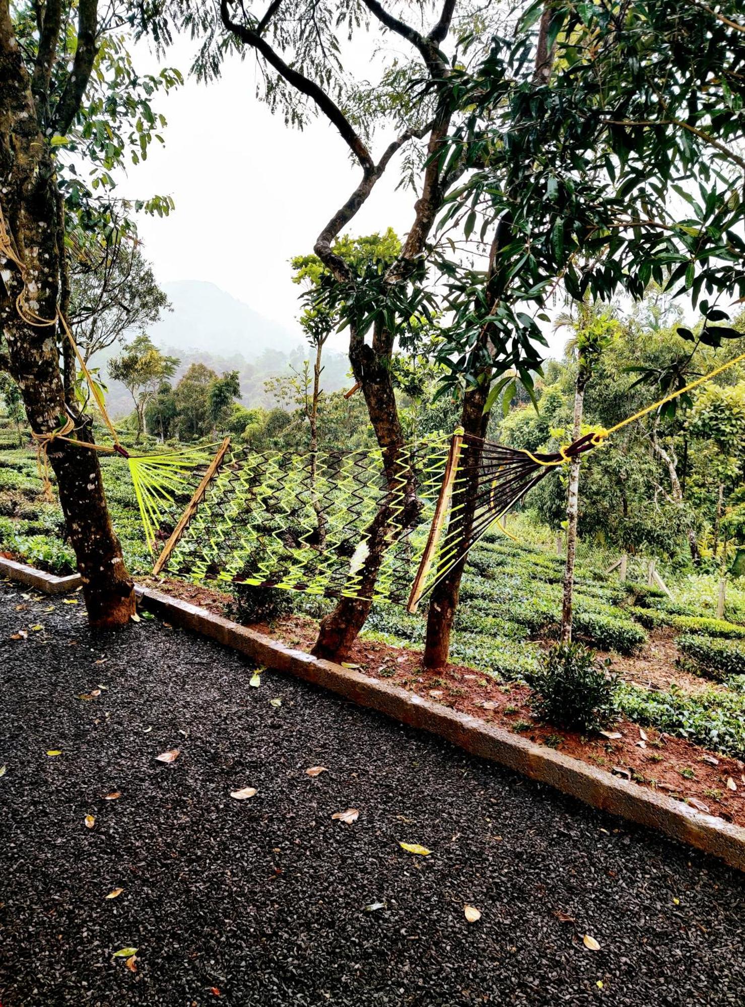 The Vagabond Stays Vagamon Luaran gambar
